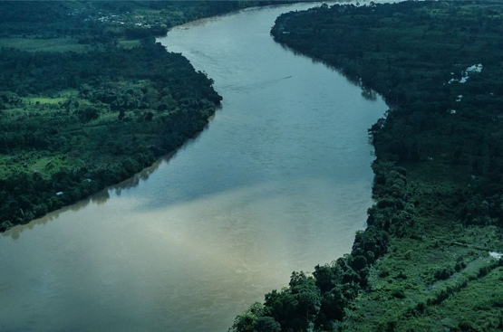 Un río caudaloso zigzaguea entre densas arboledas